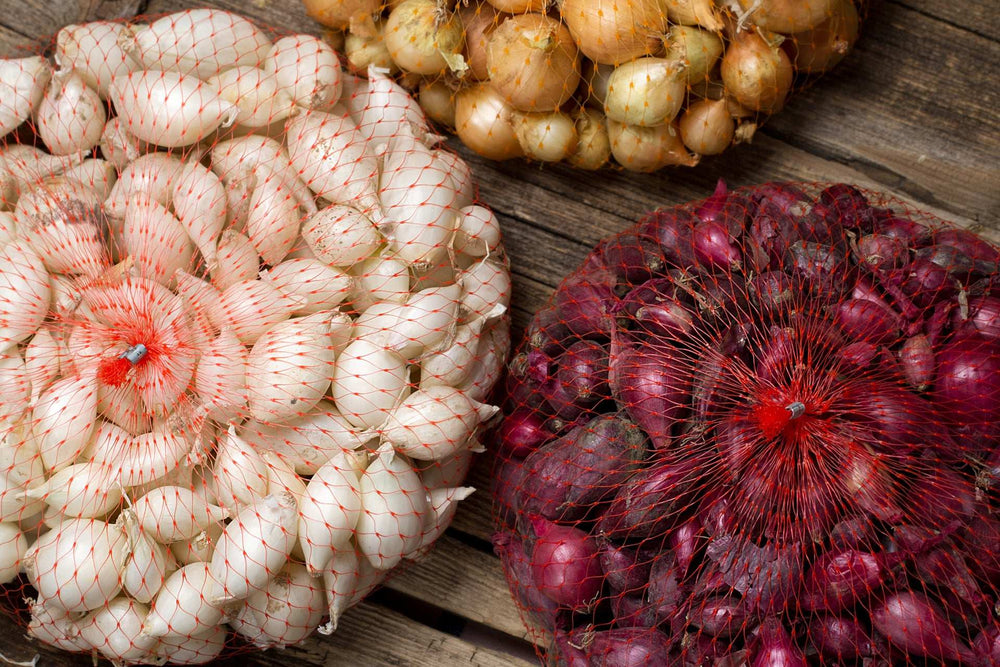 Mixed onion sets in red, white, and yellow varieties, non-GMO, perfect for home gardening