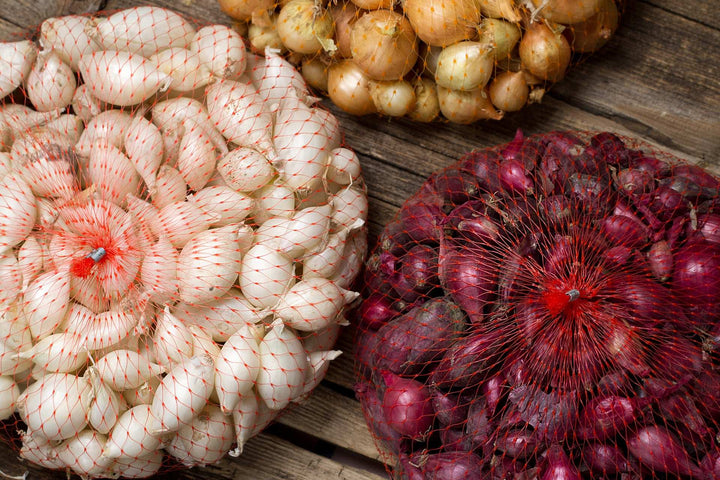 Mixed onion sets in red, white, and yellow varieties, non-GMO, perfect for home gardening
