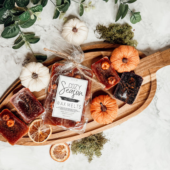 Fall Harvest Natural XL Wax Melts Pack Pumpkin Cranberry Clove Cozy Autumn Scented 4 Extra Large Cubes