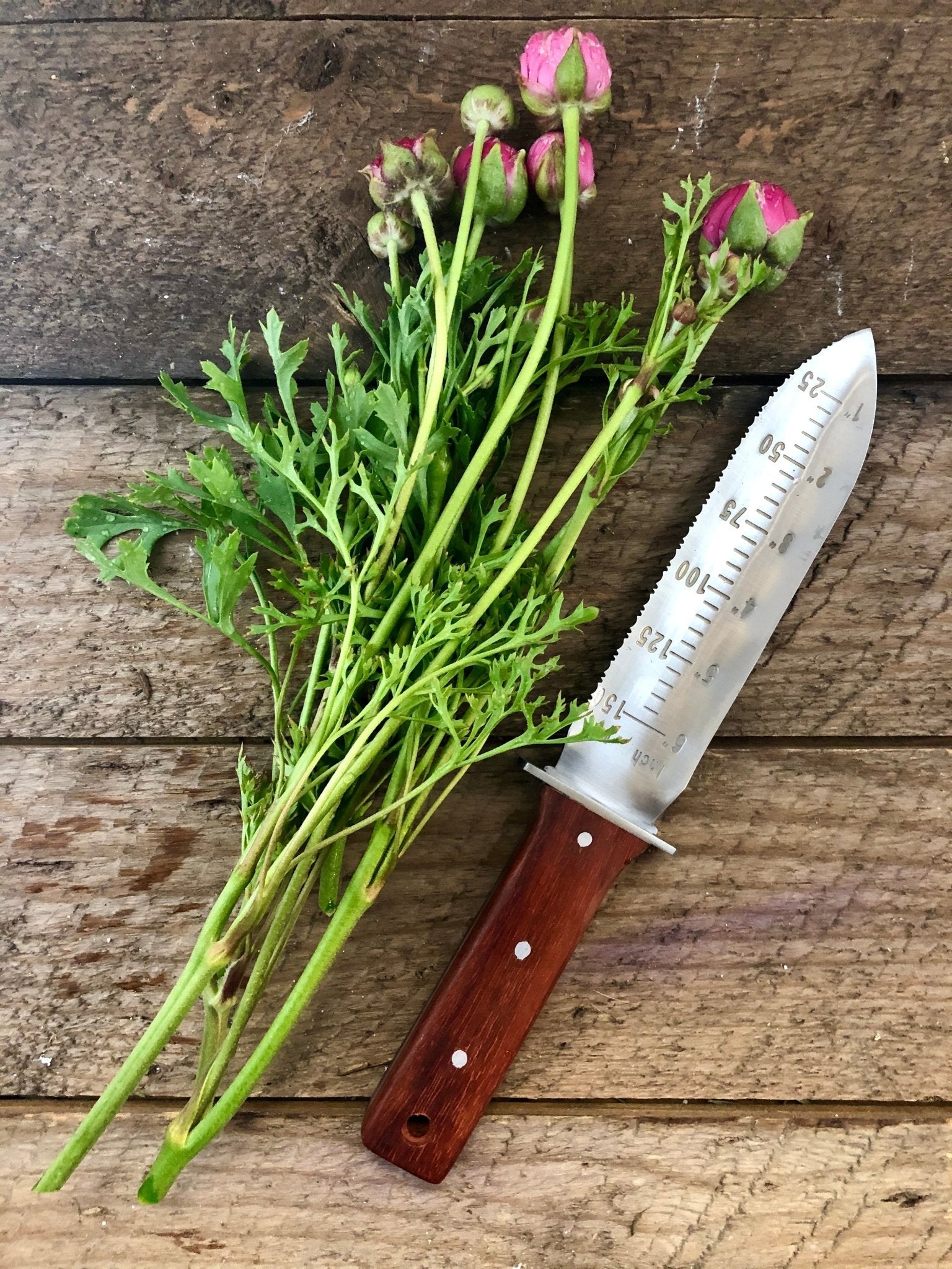 Gardening Gift Box -  Belt, Hori Hori and Pruners