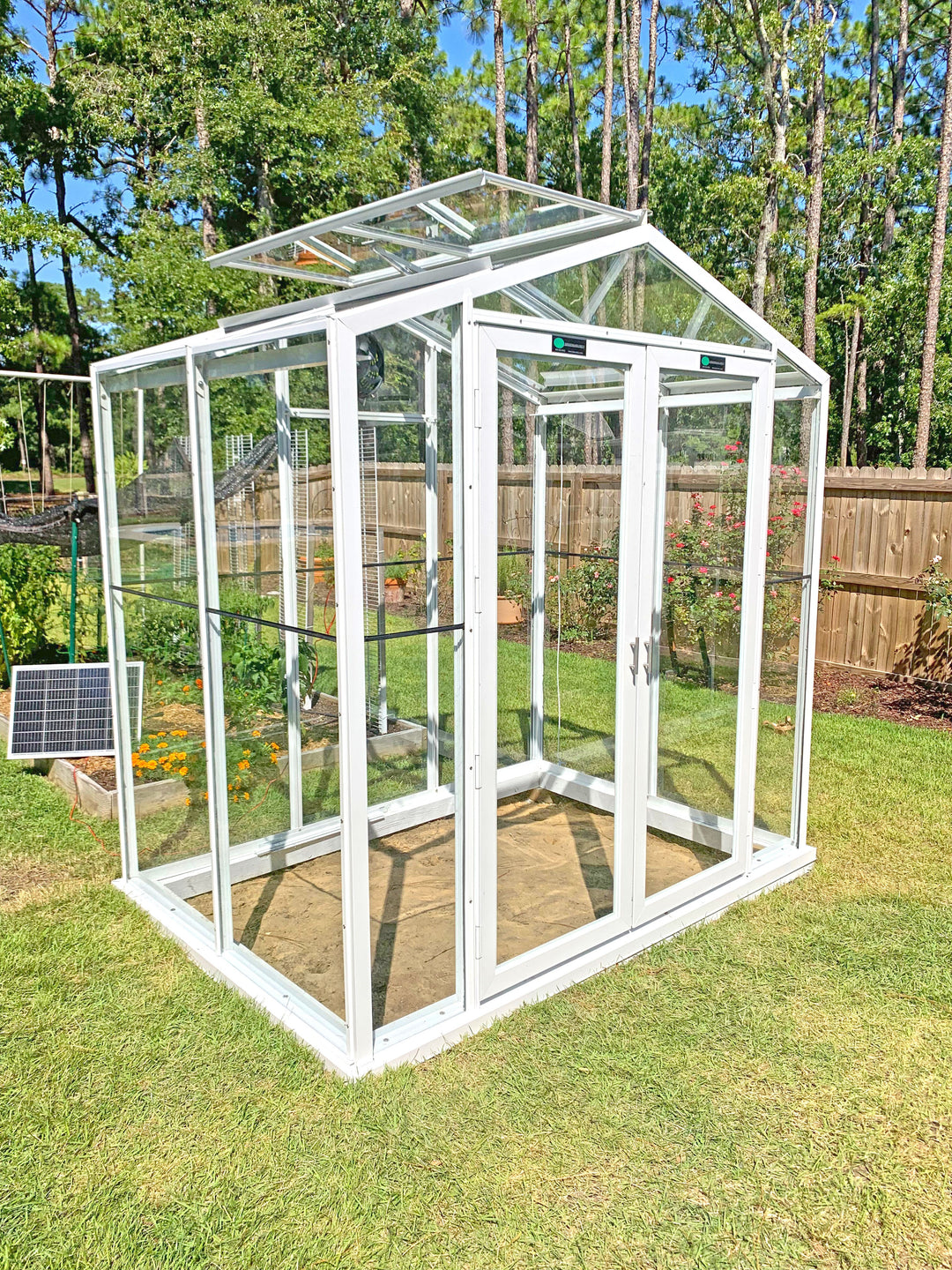 The Sago Greenhouse 5&