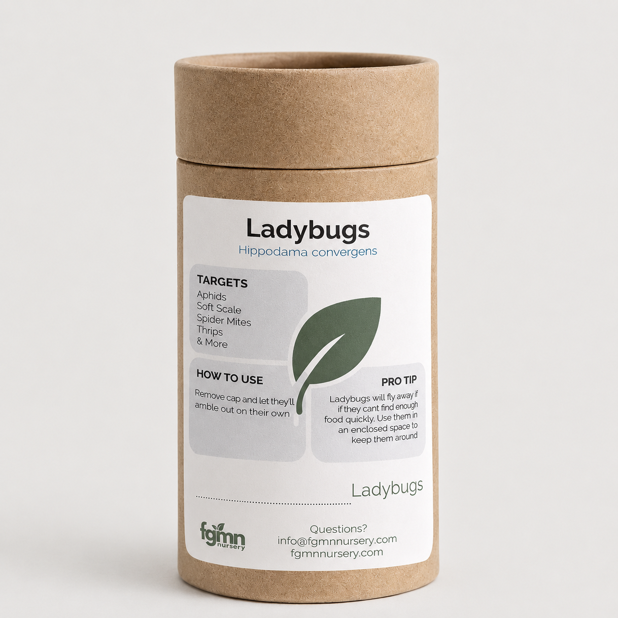 Ladybugs