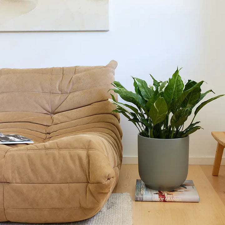 Bell Planter