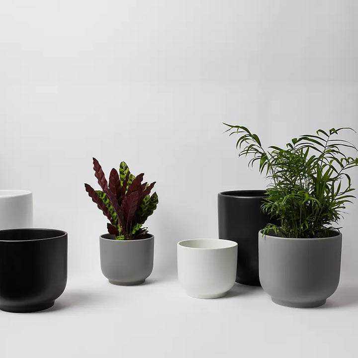 Bell Planter
