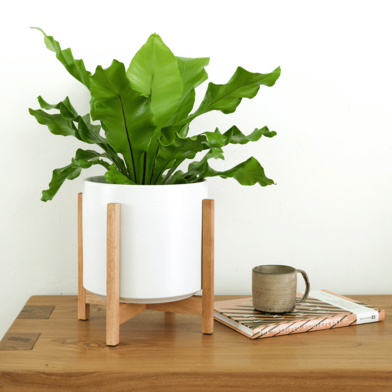 1st Generation, Solid Goods Ceramic Cylinder– With or Without Square Mahogany Stand (FINAL SALE)