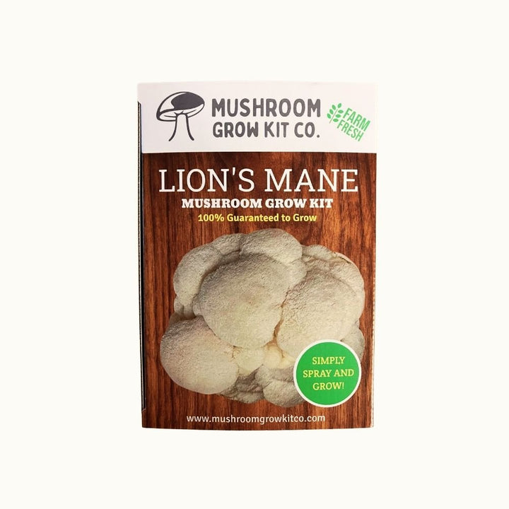 Lion&