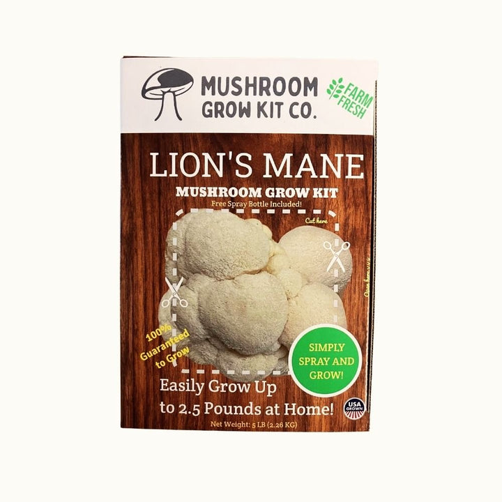 Lion&