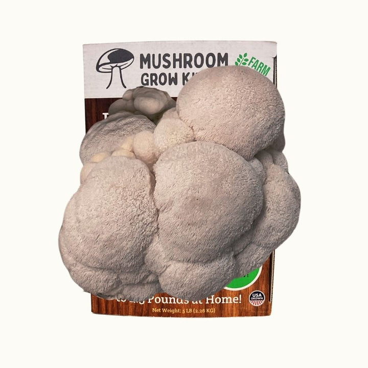 3 Pack - Lion&