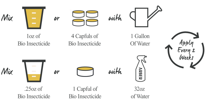 Organic Bio Insecticide