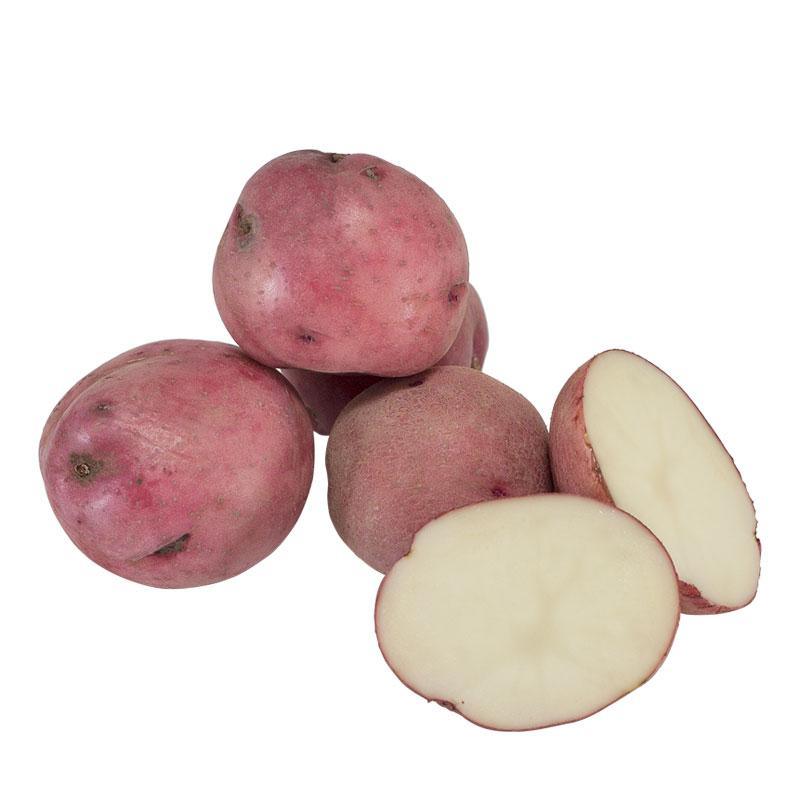 Organic Norland Red Seed Potato (lb)