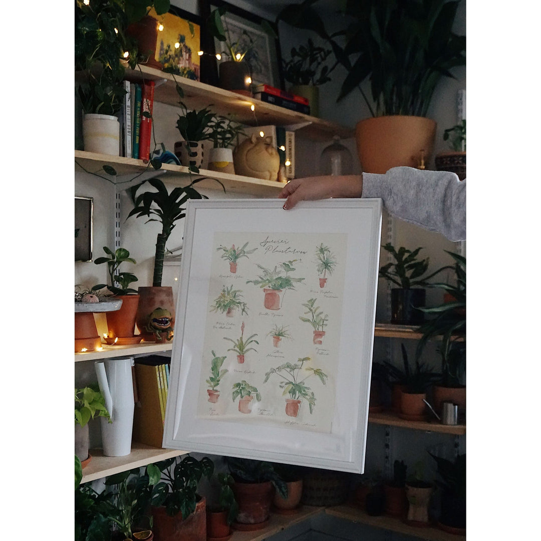 Plant Species Poster