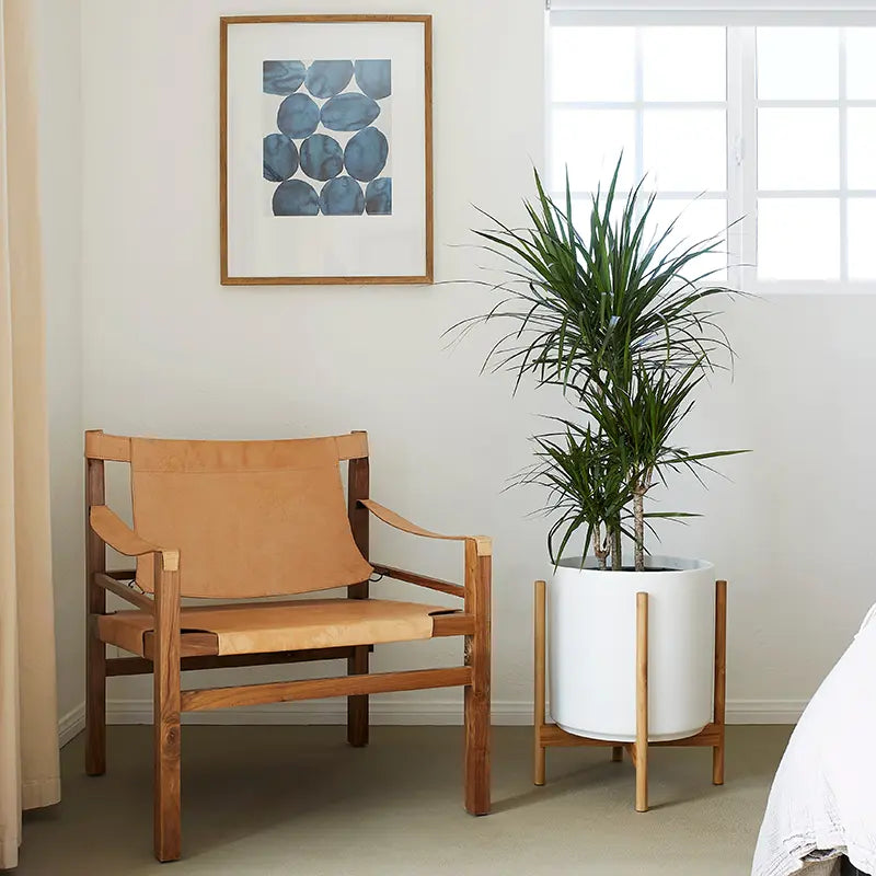 1st Generation, Ceramic Cylinder, With or Without Rounded Teak Stand (FINAL SALE)