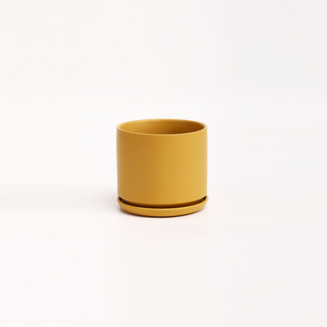 The Ceramic Cylinder Planter with Saucer, 2nd Generation