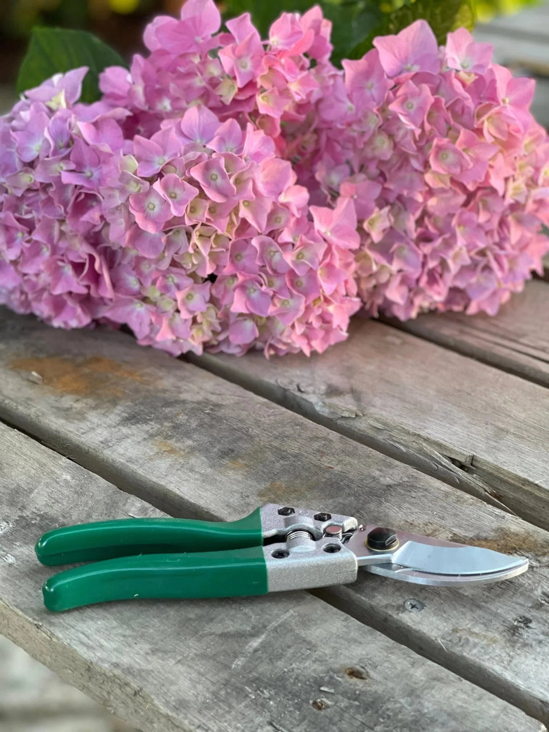 Rose Gardener Gift Box | Rose Gloves, Belt &amp; Pruners