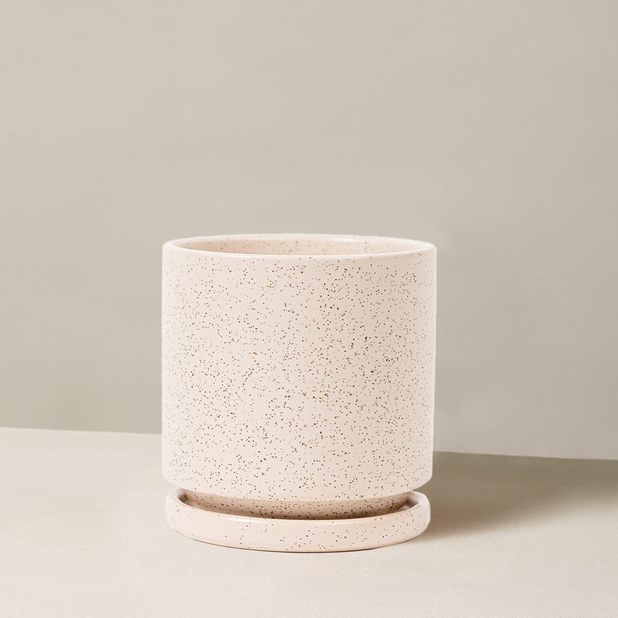 The Sill Isabella Planter