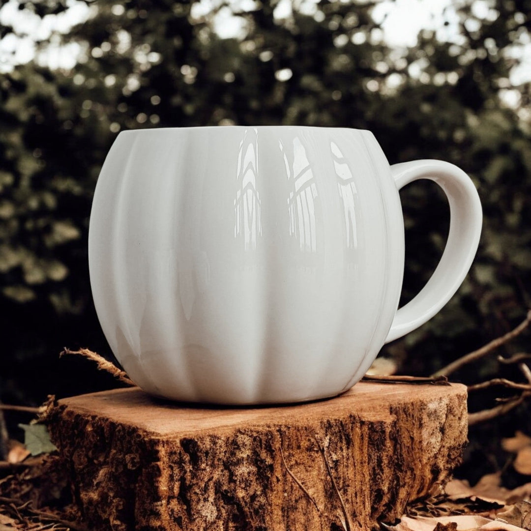 Pumpkin Shaped Ceramic Coffee Mug 16.8oz Fall Drinkware Great Gift for Friends