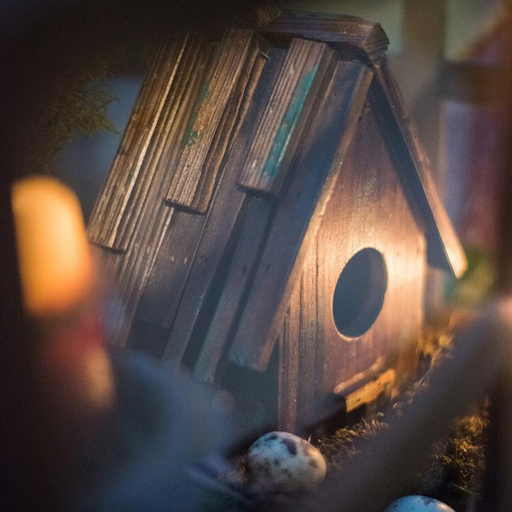 Wood Craft Bird&
